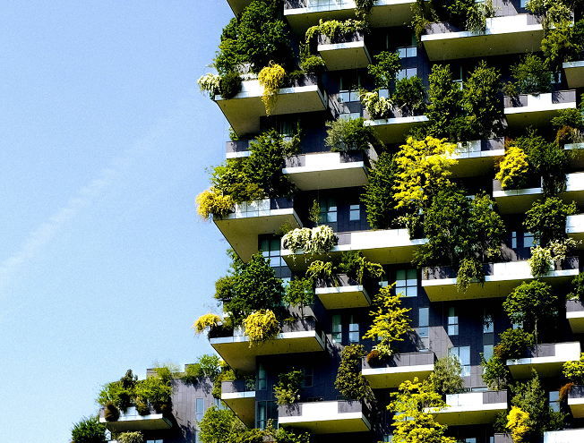 Building exterior covered in lush green plants and trees